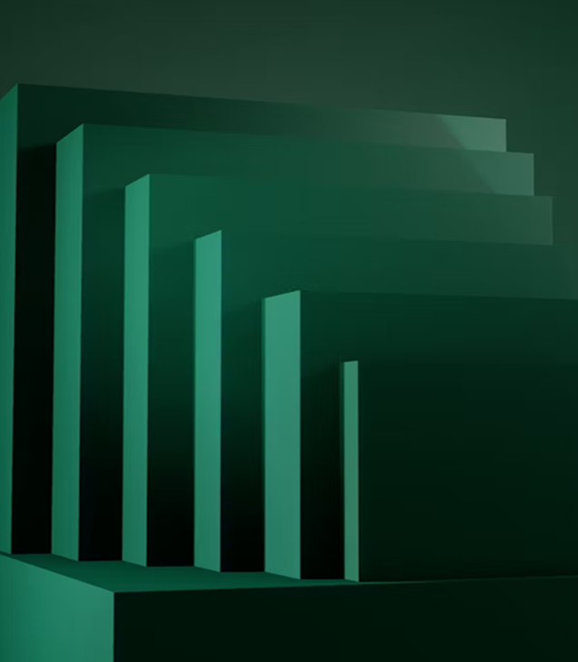 Investment Opportunity